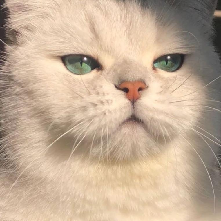 徐凤年