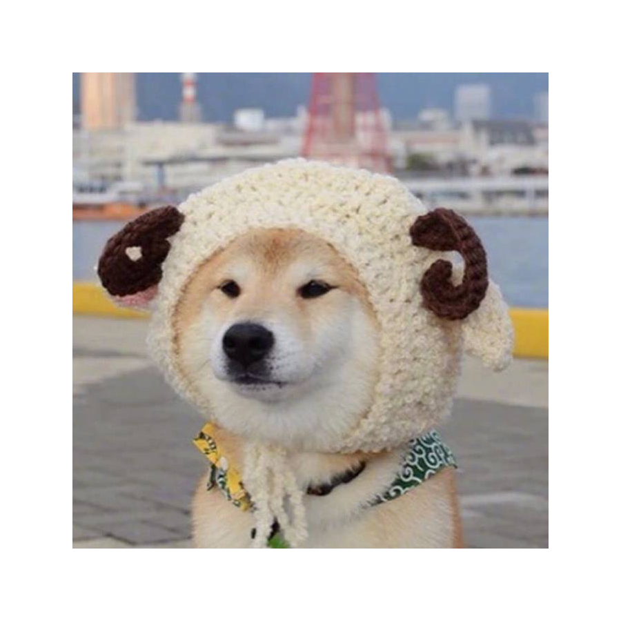 可爱的比ジ