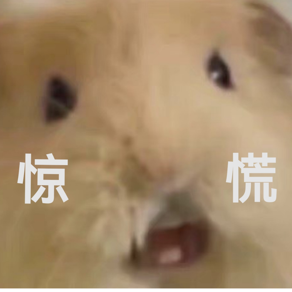 一只大狸子(๑•̀㉨•́ฅ