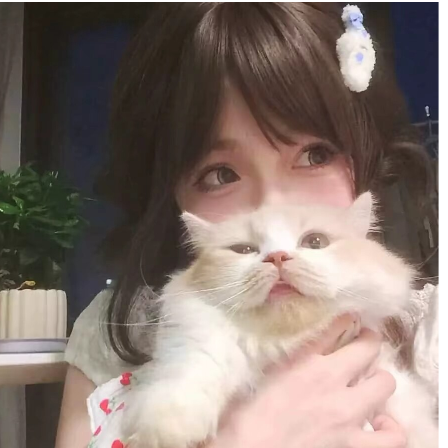 鸭鸭