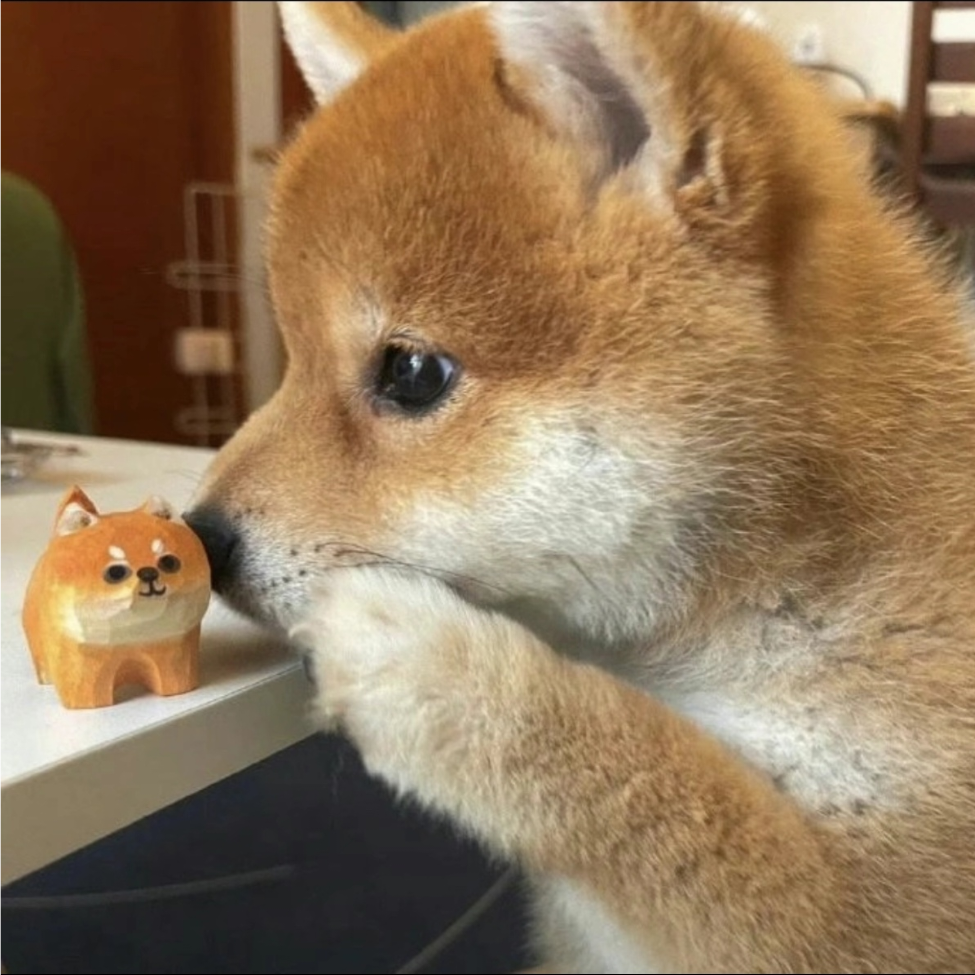 执念