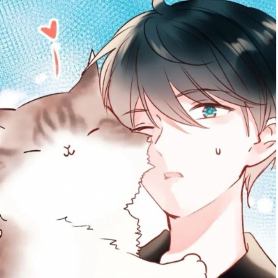 别打我我是萌新【抖音】