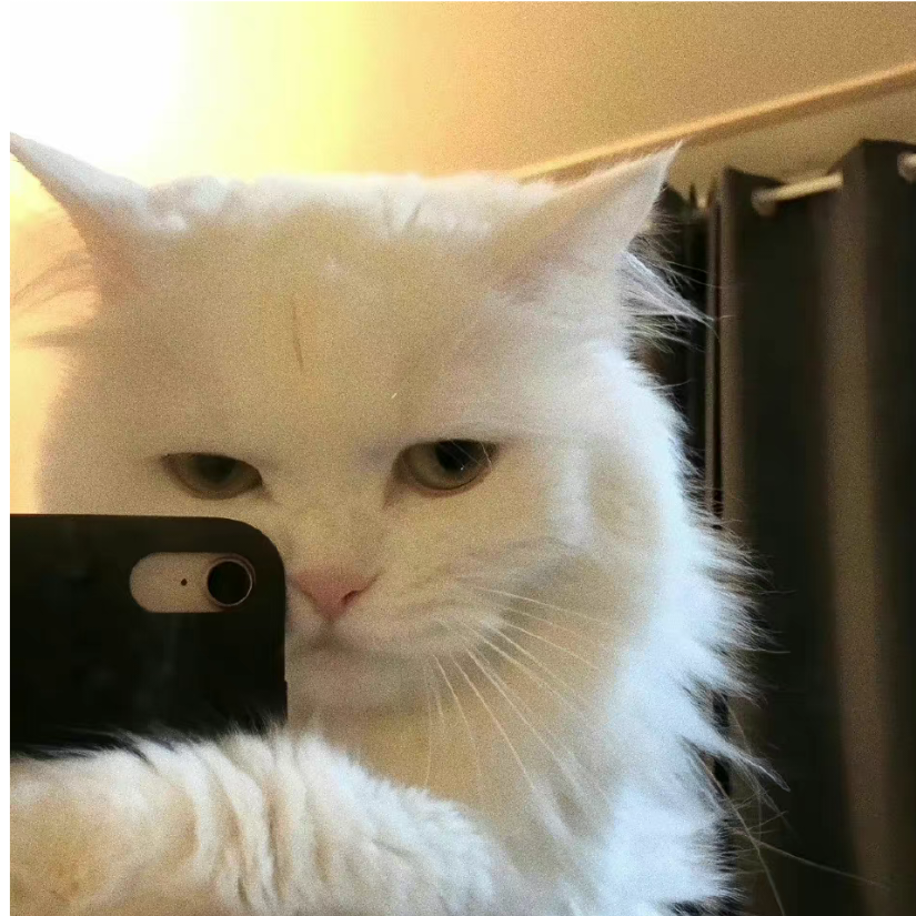 博士