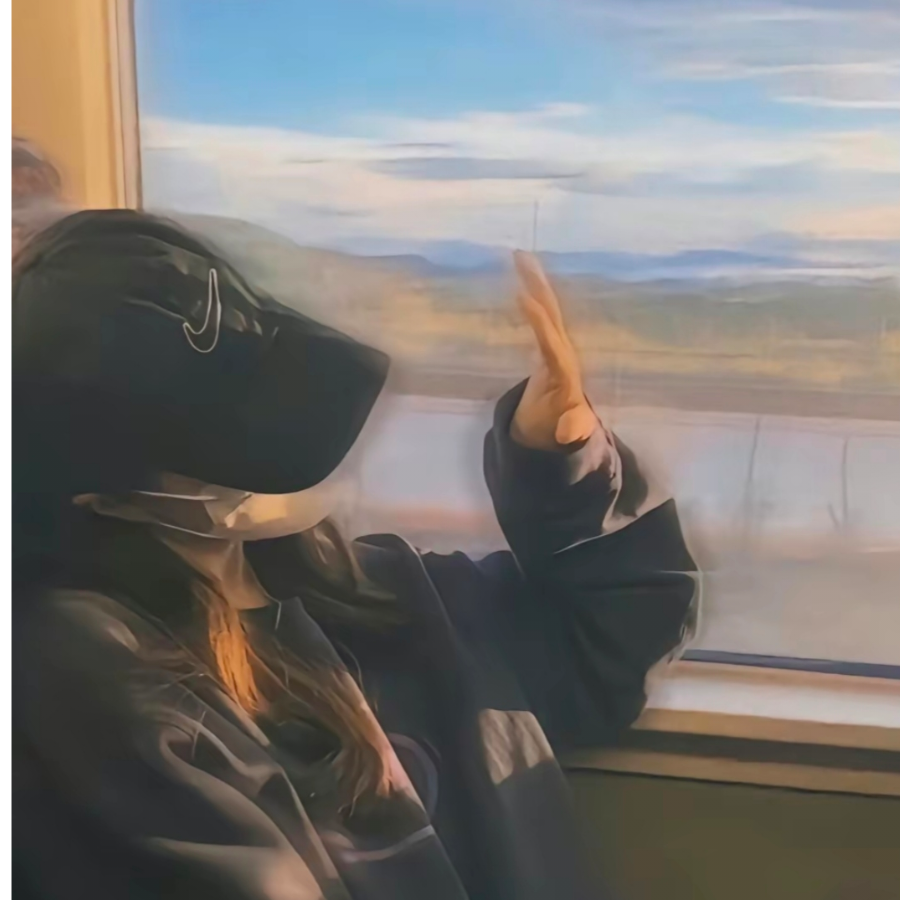 月鹤