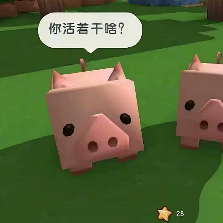 葛莳