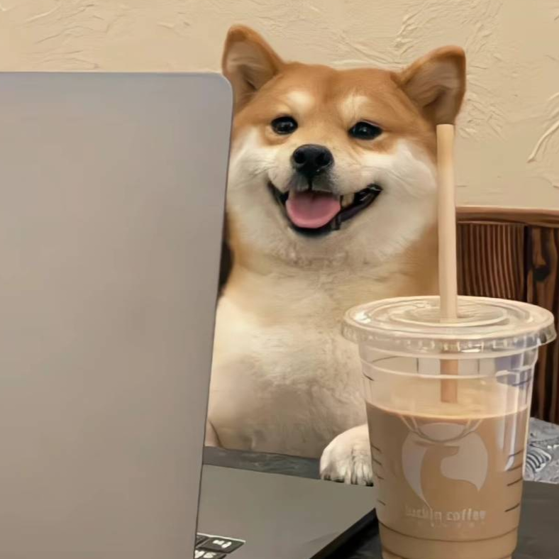 走马观花止于你