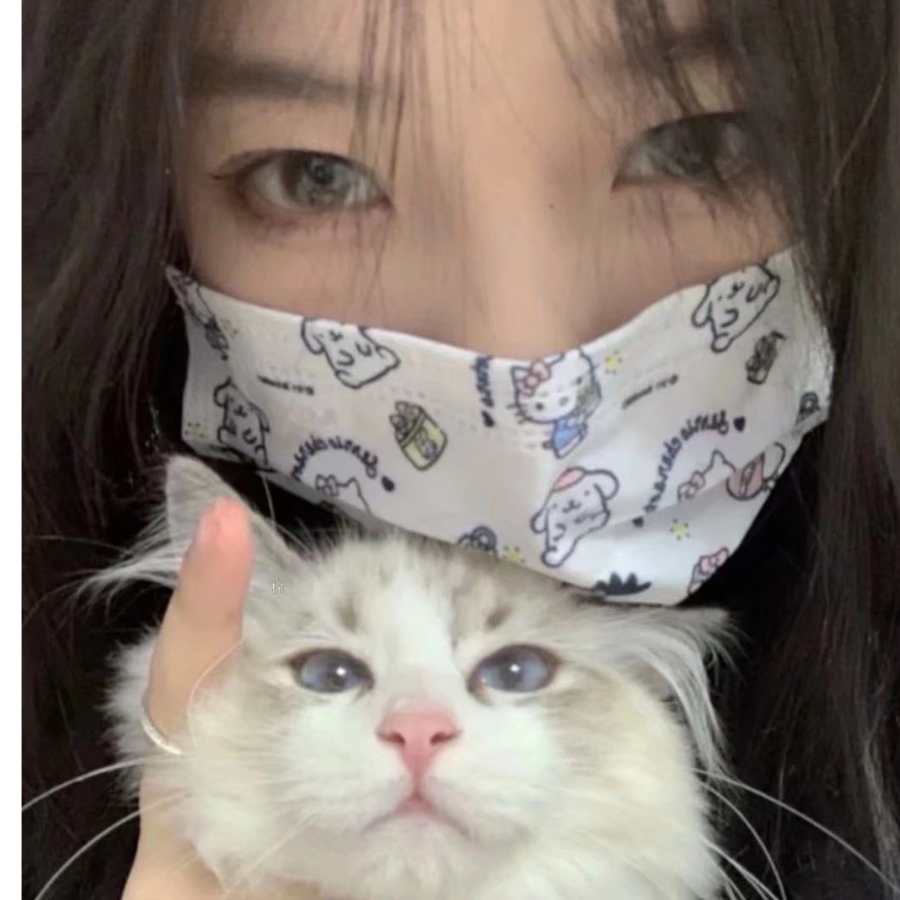 白晗