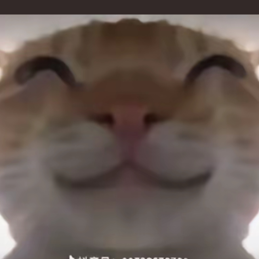 屿