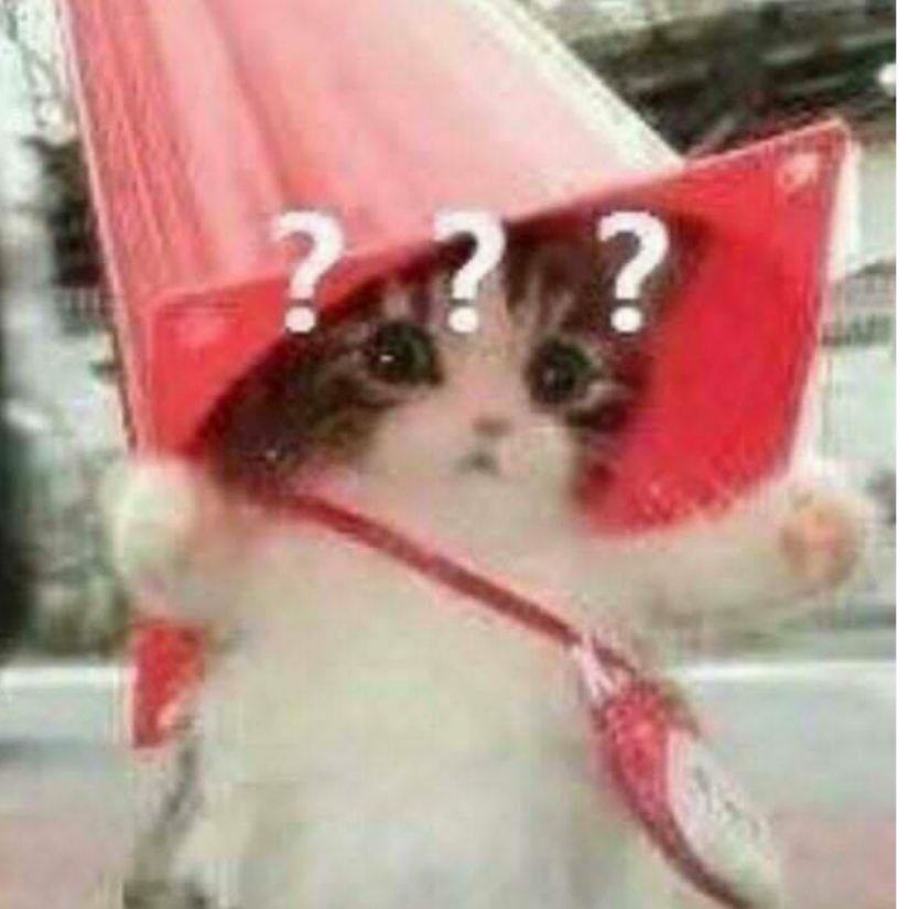 清夜坠玄天