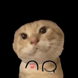 怊