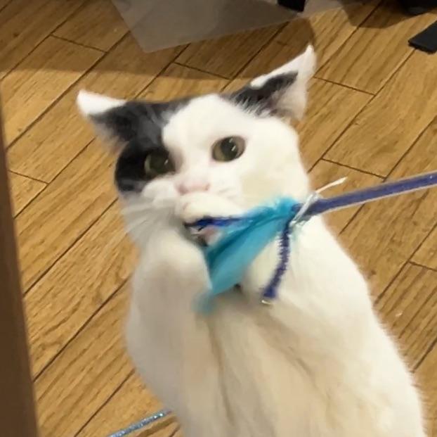 抓捕周树人跟我鲁迅有什么关系