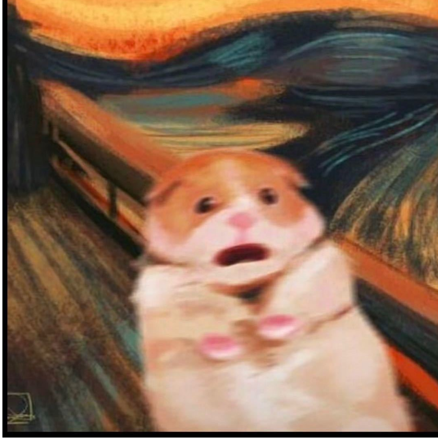 专业挖掘机人士