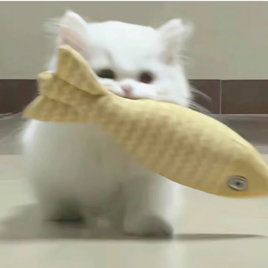 易相遇