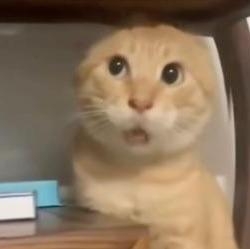 …..