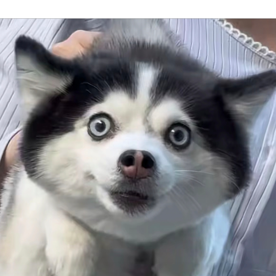嘿呀呀呀的