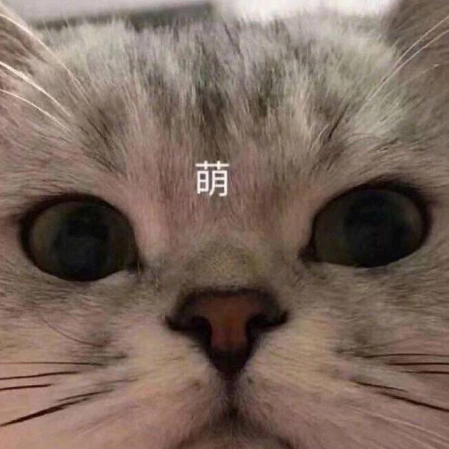 良猫