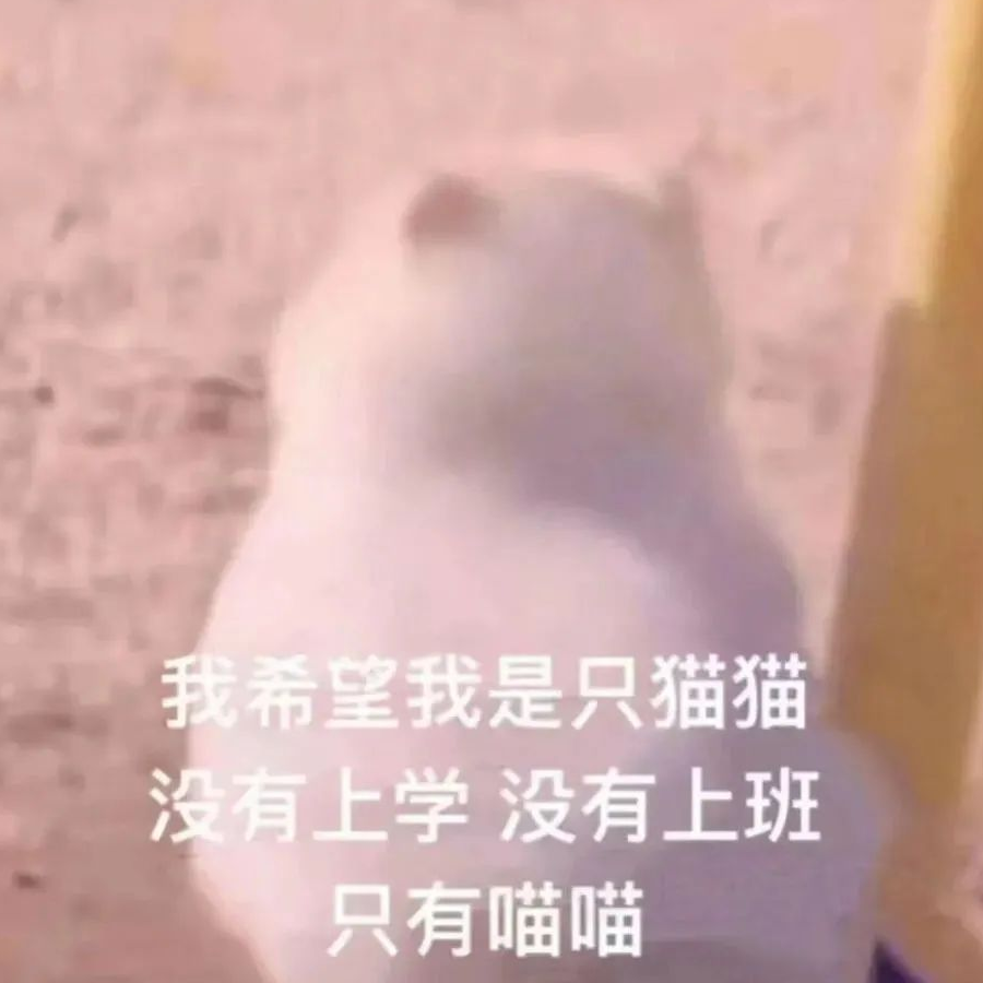 啦啦啦阑