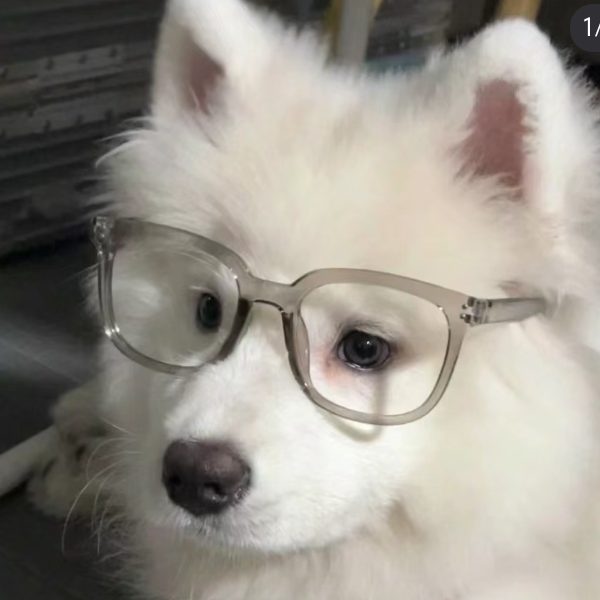 糖糖爱吃糖 