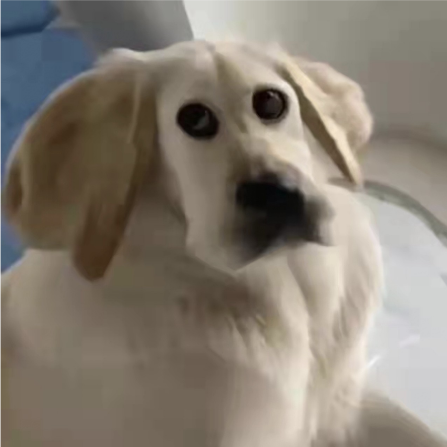 呦口呦