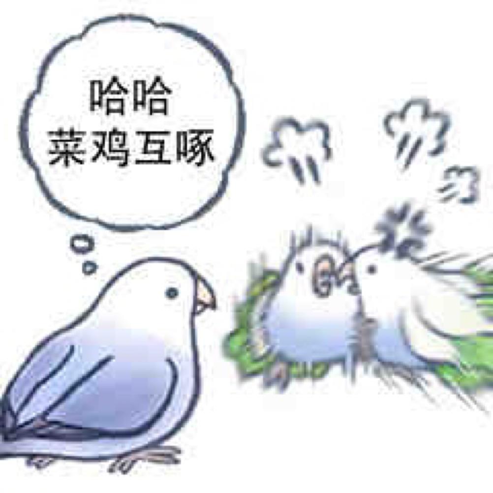 猪猪爱肉包