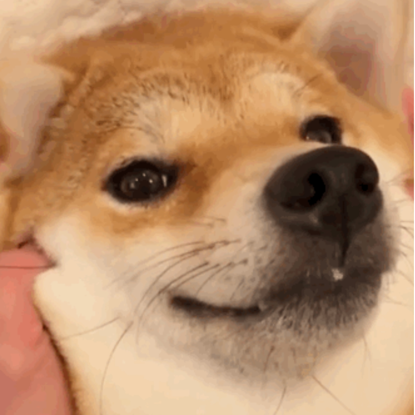 小张不想努力了