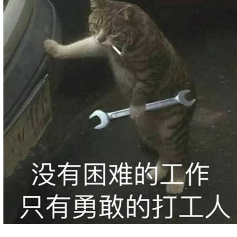 每天都要开心蹭车