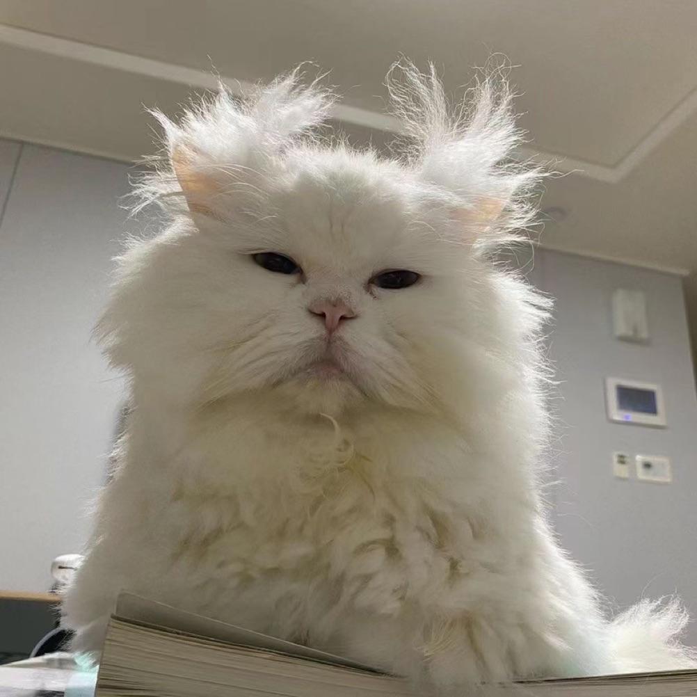 我不熬夜的