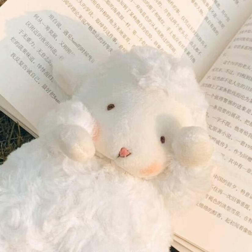 棉眠