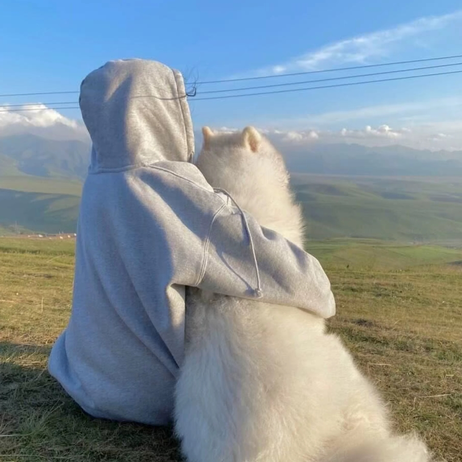 人间忽晚