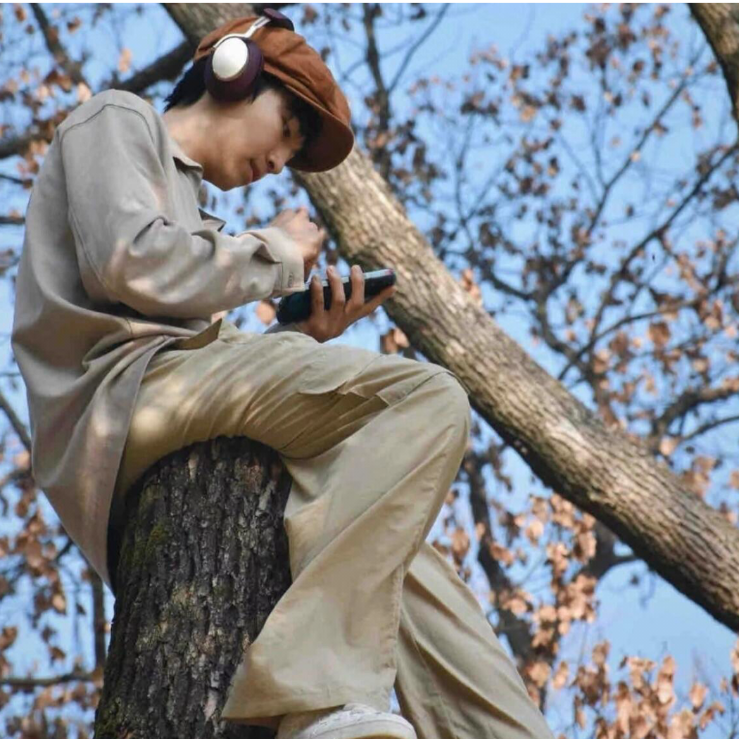 春风十里