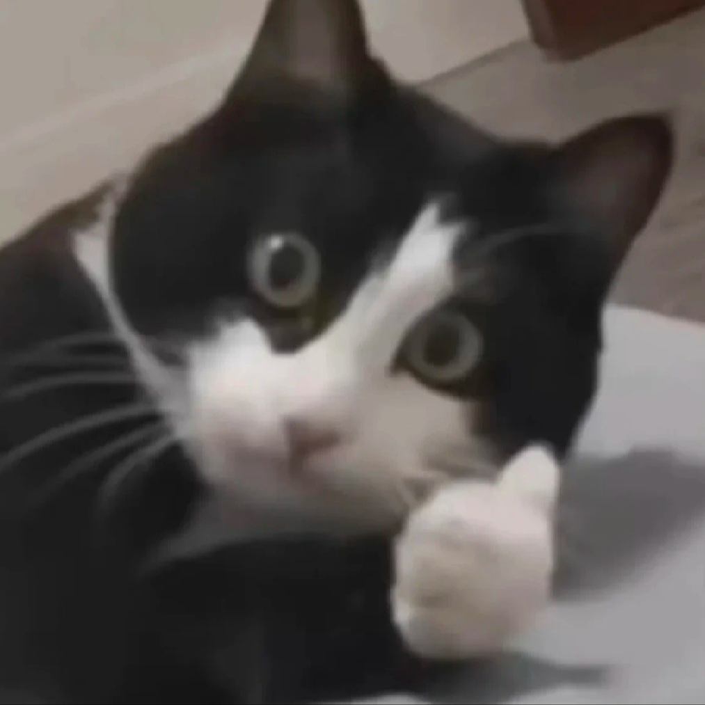 我要玩游戏我要玩游戏我要玩游戏