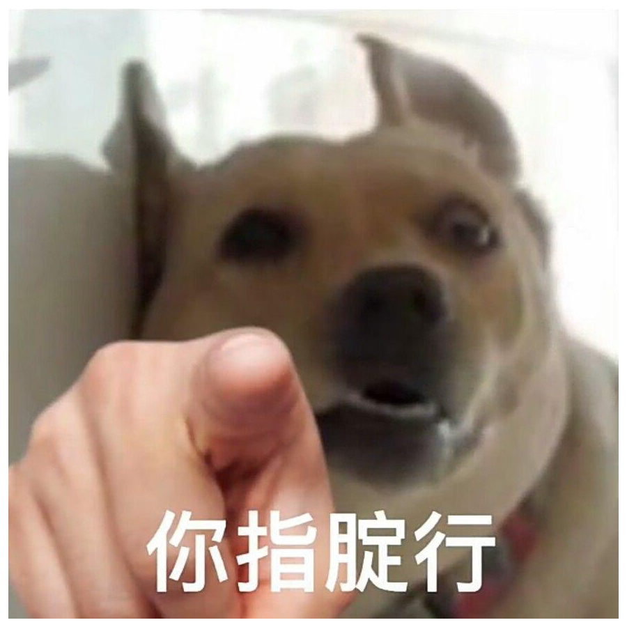 行不行啊！