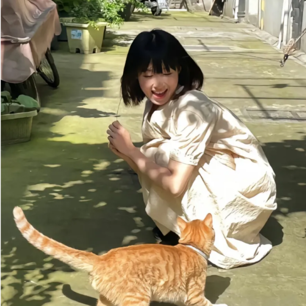 猪猪大王T