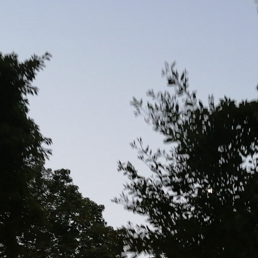 小林困了