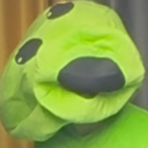 🐛🐛🐛🐛
