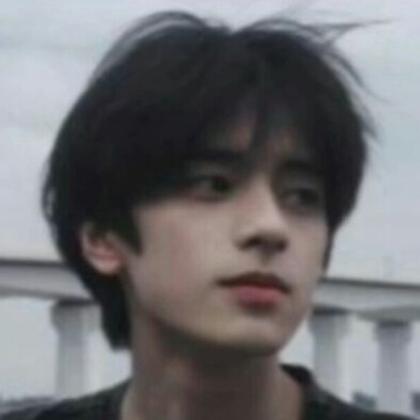 孤鸟与海