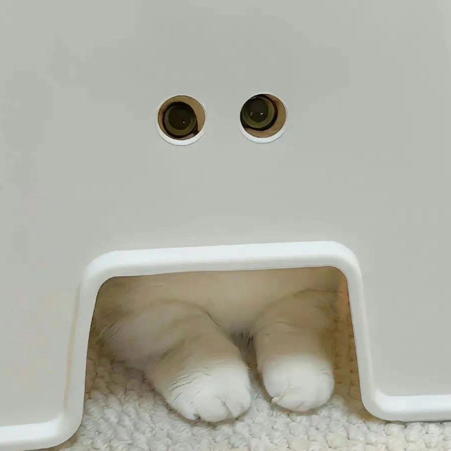 那年秋°