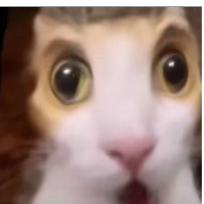 我也不道在下什么看着诡异就对了