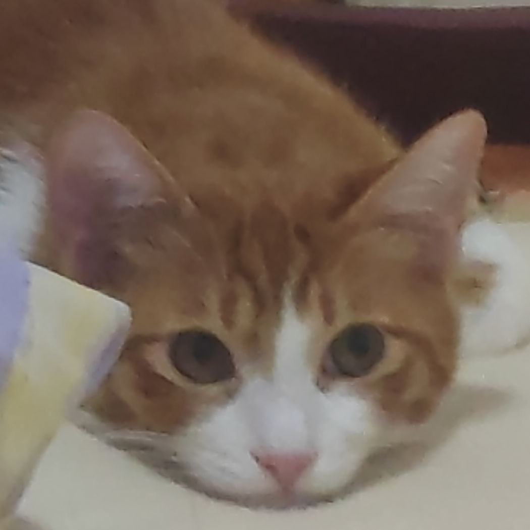 澪
