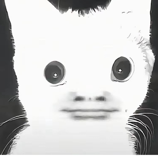手机用户74237513