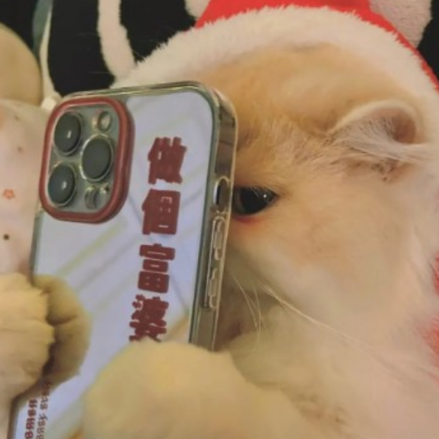 双喜