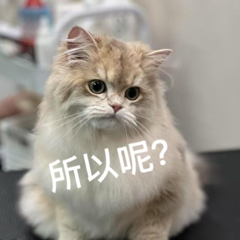 黑丝天下第一