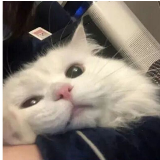 年