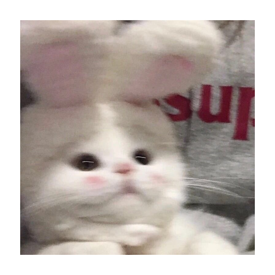 三明治不要鸡蛋