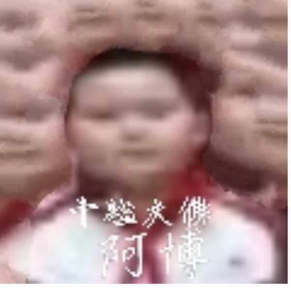 张俊博