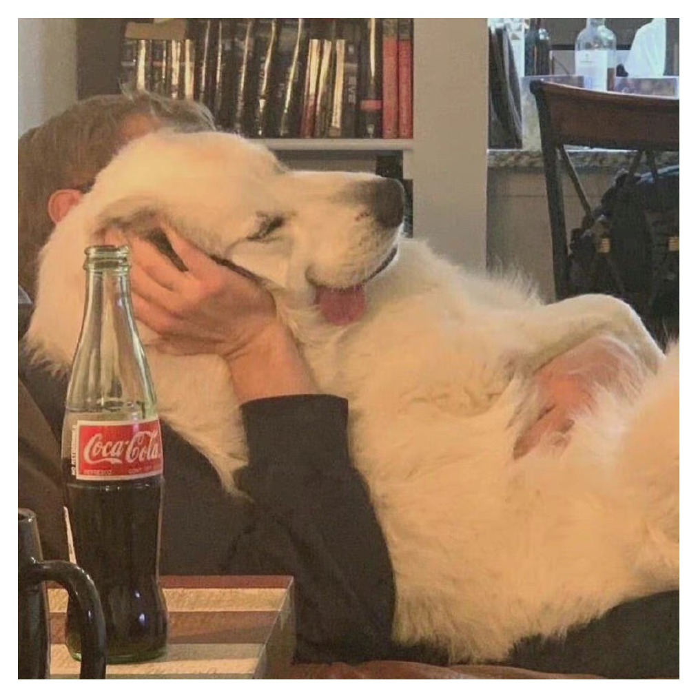 理子