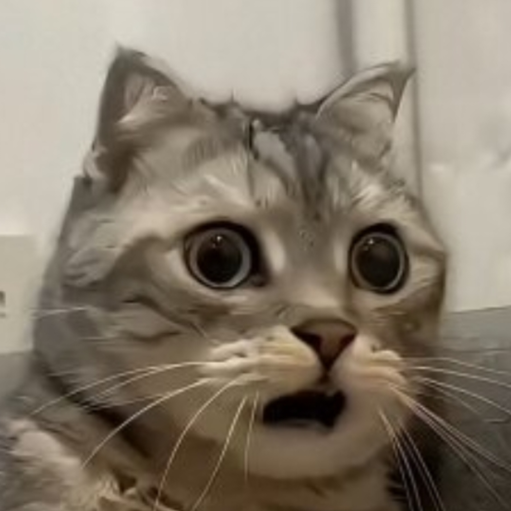 惊蛰