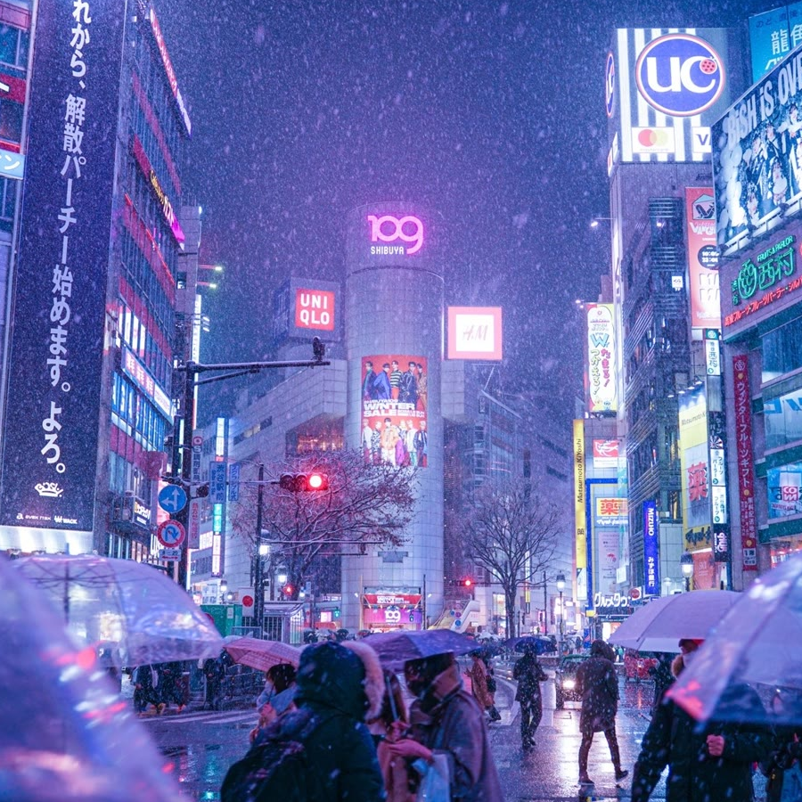 南叶