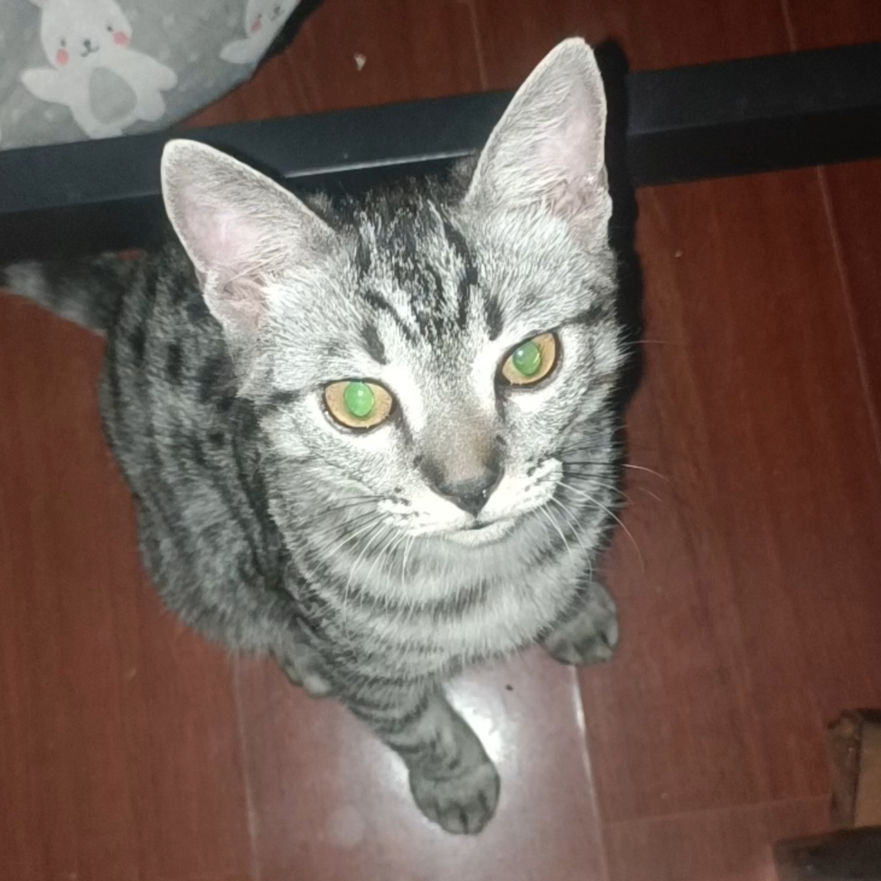 他说他会一直在