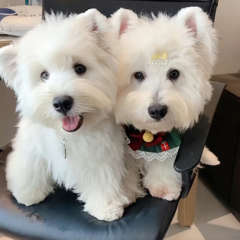 溧